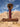 TRAIL_LIFE_USA_AWARD